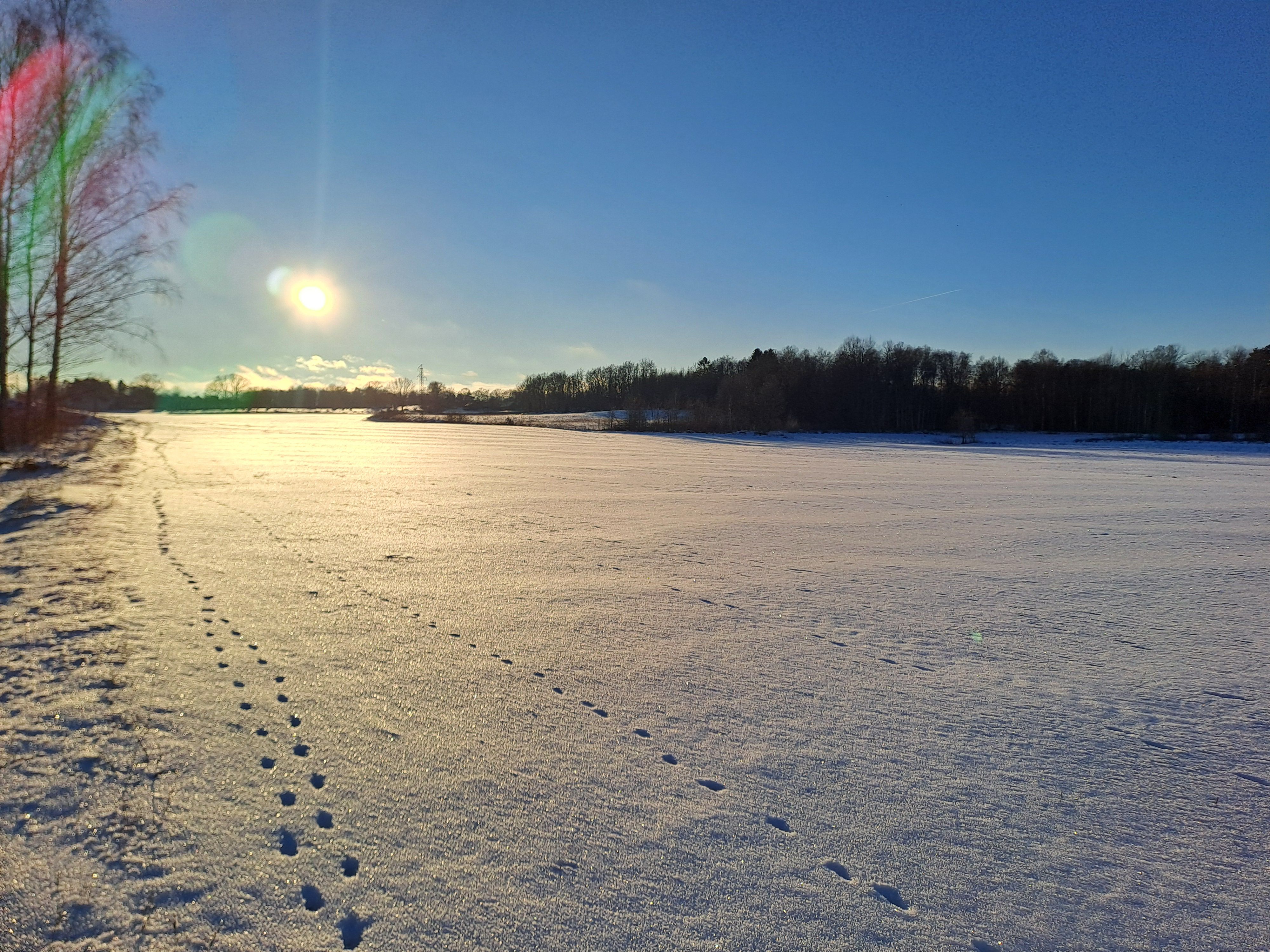 20240110_142709.jpg